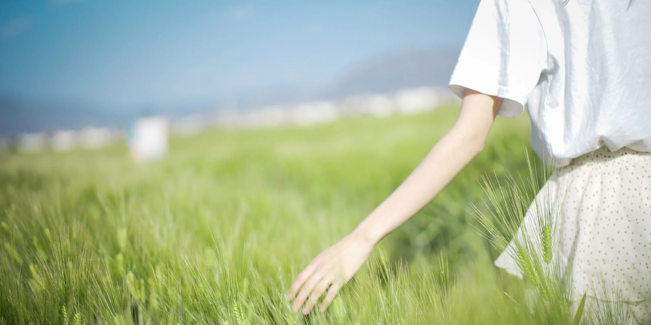 shopthietke com Shopthietke.com 324 scaled