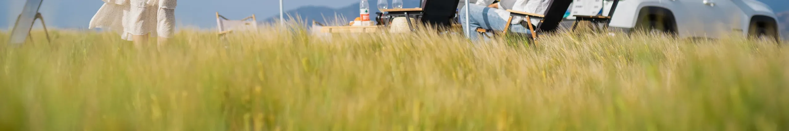 shopthietke com Shopthietke.com 327 scaled