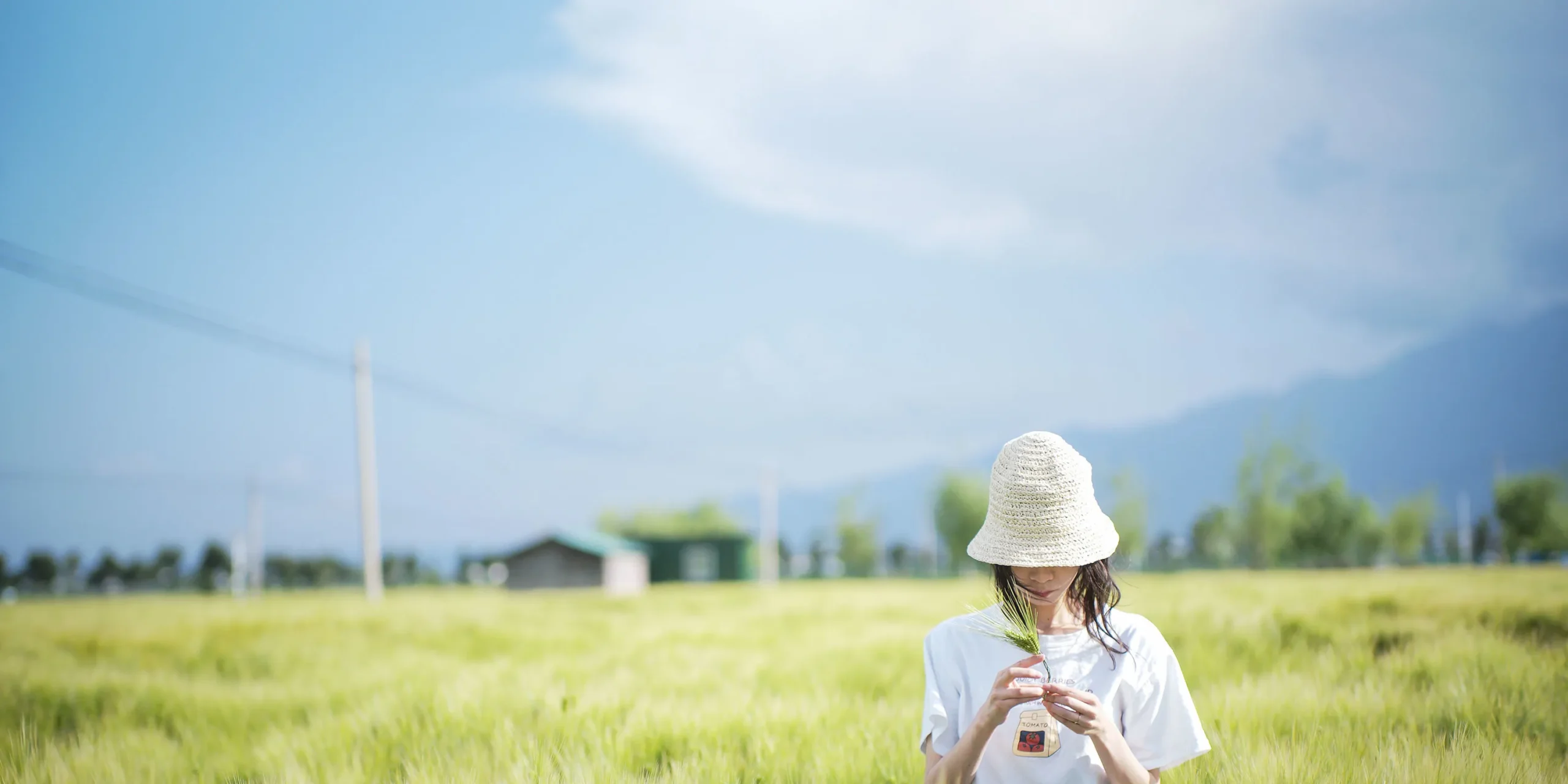 shopthietke com Shopthietke.com 328 scaled