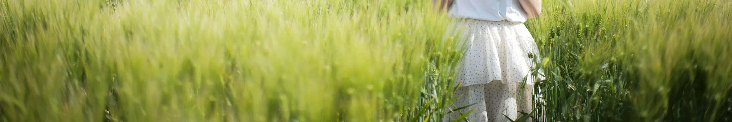 shopthietke com Shopthietke.com 329 scaled