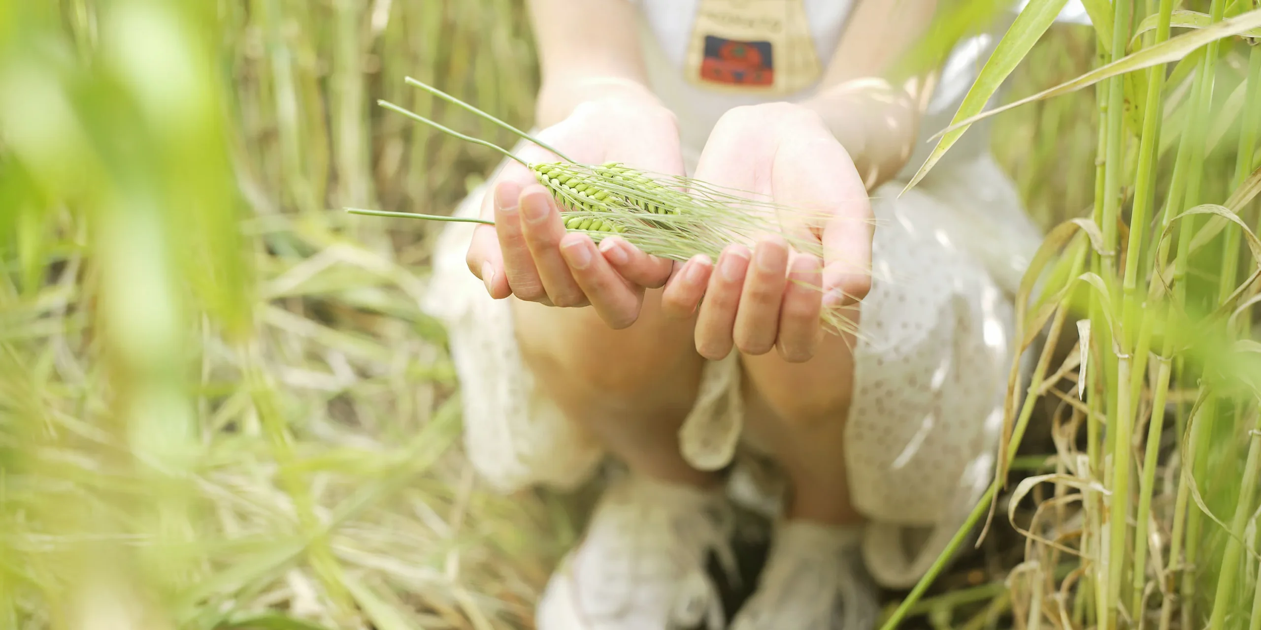 shopthietke com Shopthietke.com 330 scaled