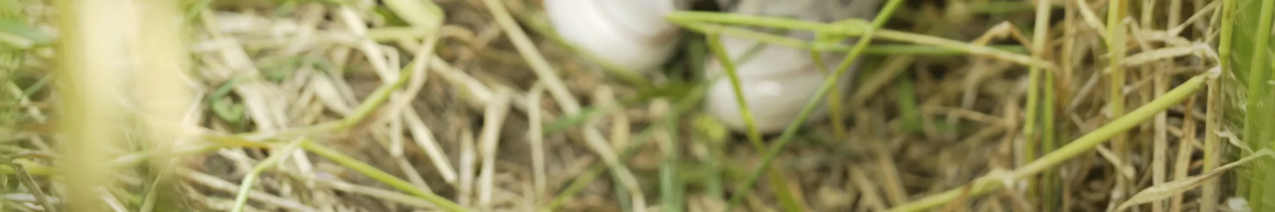 shopthietke com Shopthietke.com 331 scaled