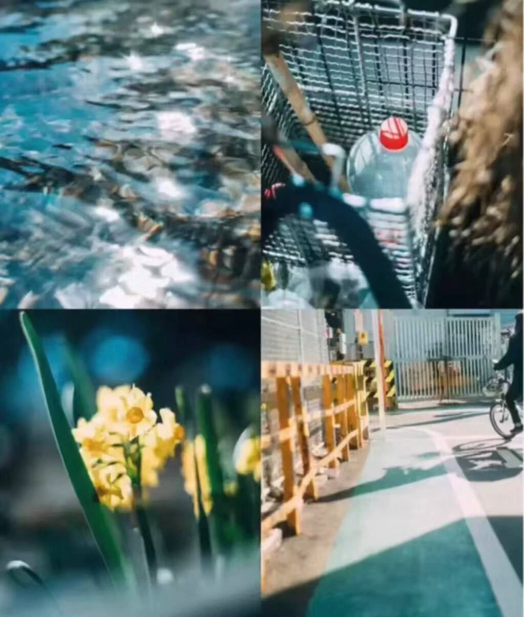 2 Preset Màu Ricoh Classic Blue Đặc Trưng - Dành Cho Lightroom & Photoshop (XMP)