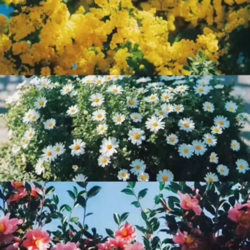 shopthietke com Shopthietke.com 358