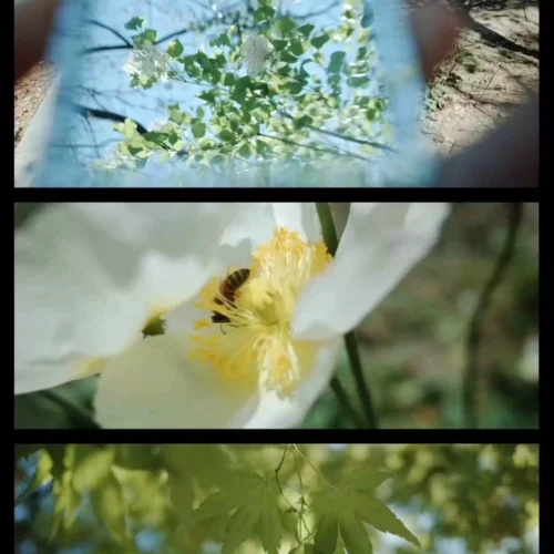 shopthietke com Shopthietke.com 362