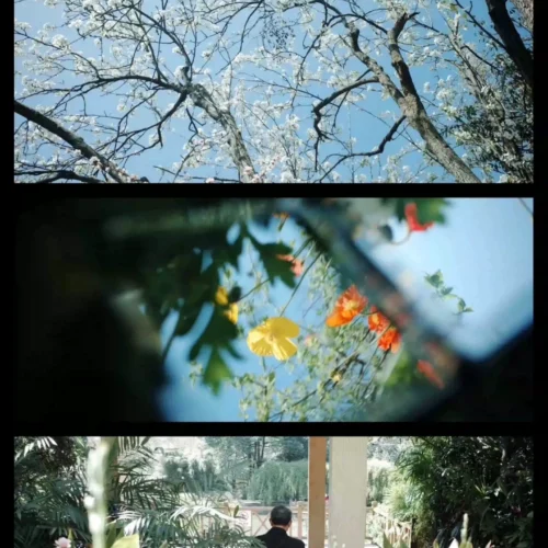 shopthietke com Shopthietke.com 363