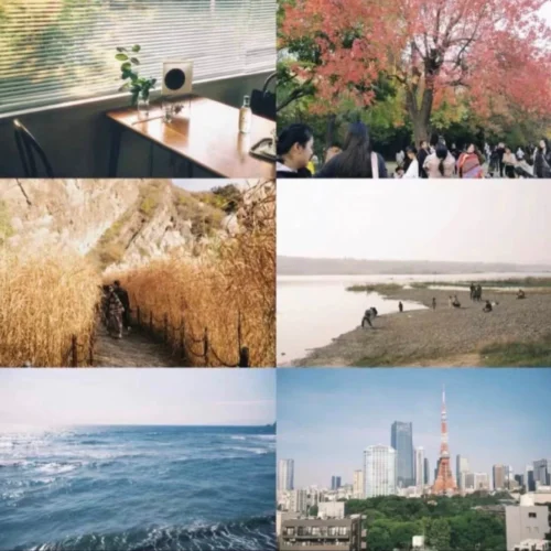 shopthietke com Shopthietke.com 369