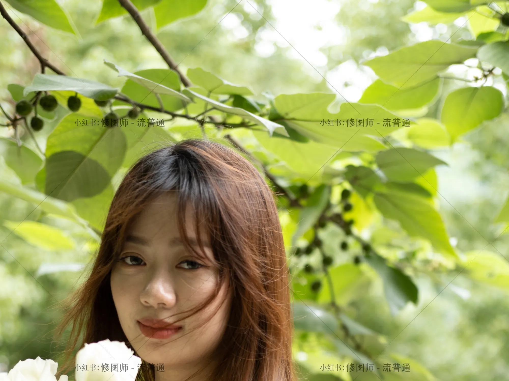 shopthietke com Shopthietke.com 449