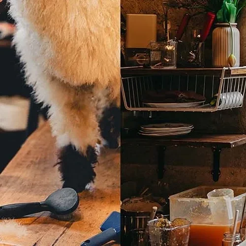 128 Preset Film Tone Chuyên Nghiệp Cho Lightroom & Photoshop –  Hot Trên Rednote (XMP/DNG)