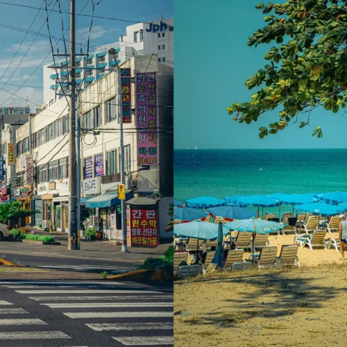 128 Preset Film Tone Chuyên Nghiệp Cho Lightroom & Photoshop –  Hot Trên Rednote (XMP/DNG)