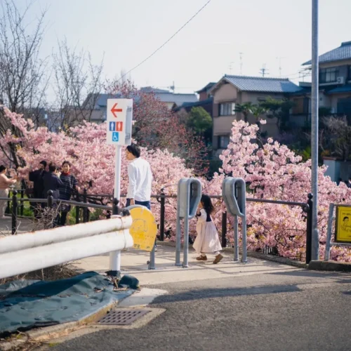 Bộ Preset Cinematic Rednote Đa Nền Tảng – Ảnh & Video Chỉ Cần 1 Click (XMP/CUBE)