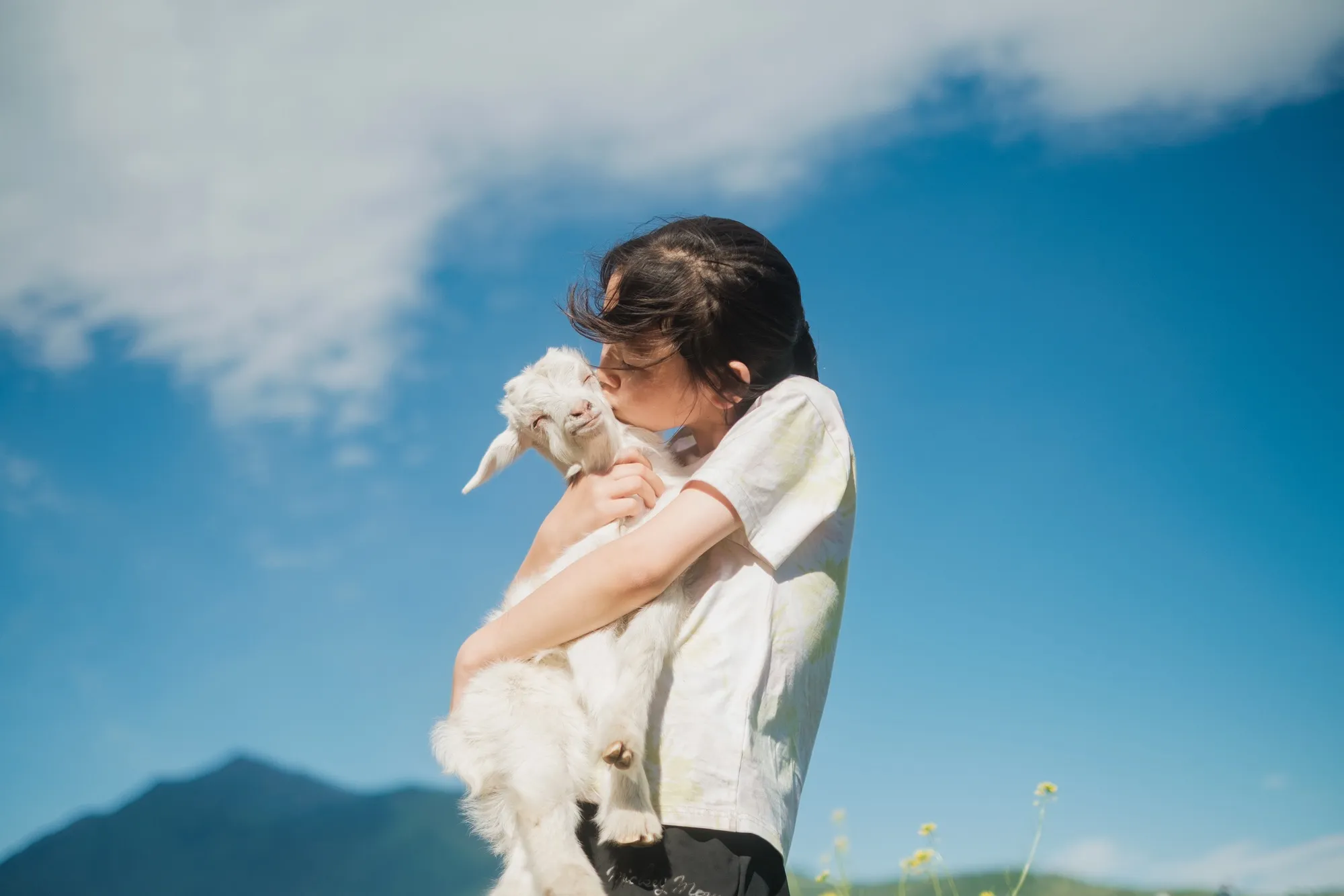 shopthietke com Shopthietke.com 86