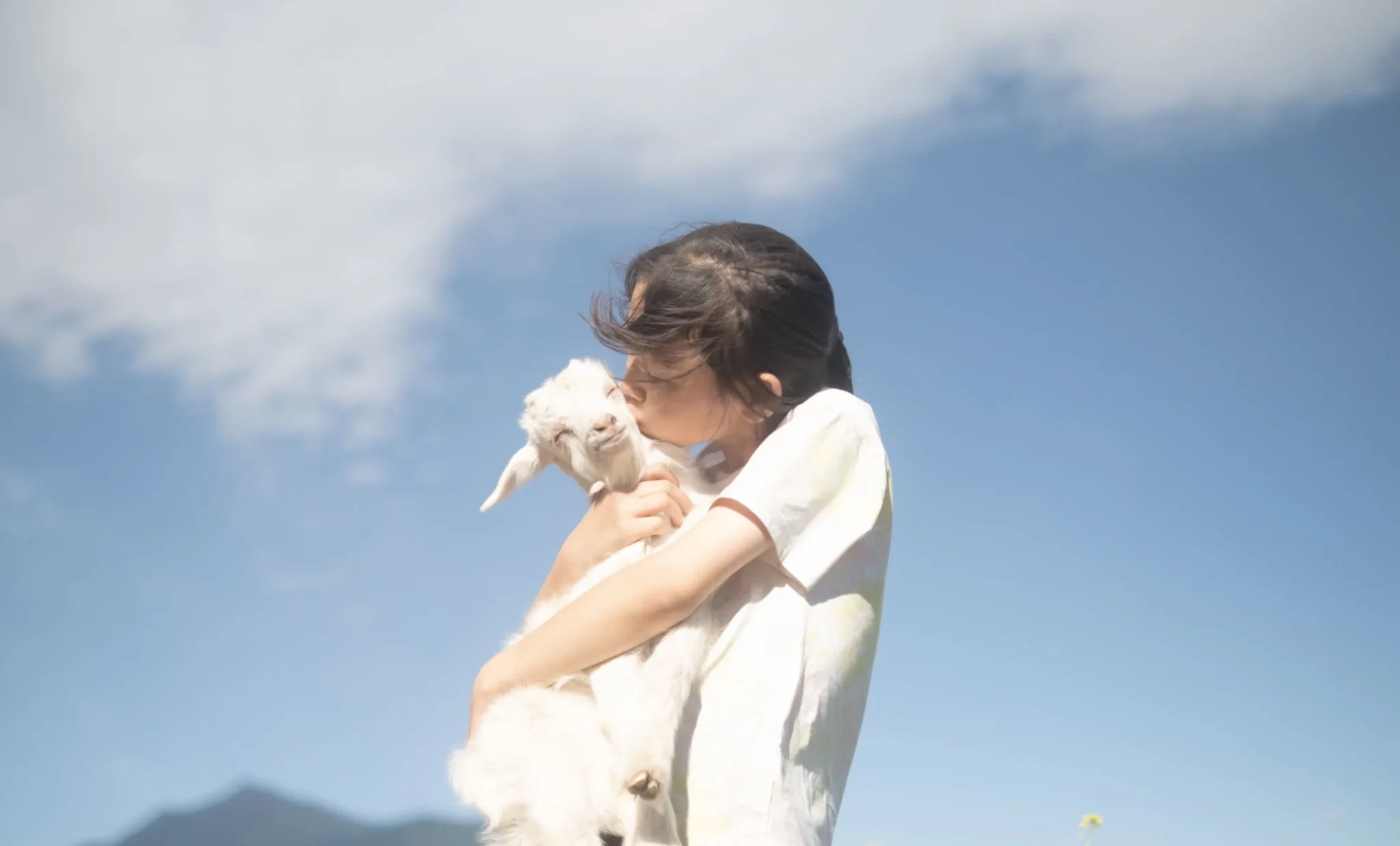 shopthietke com Shopthietke.com 87 scaled