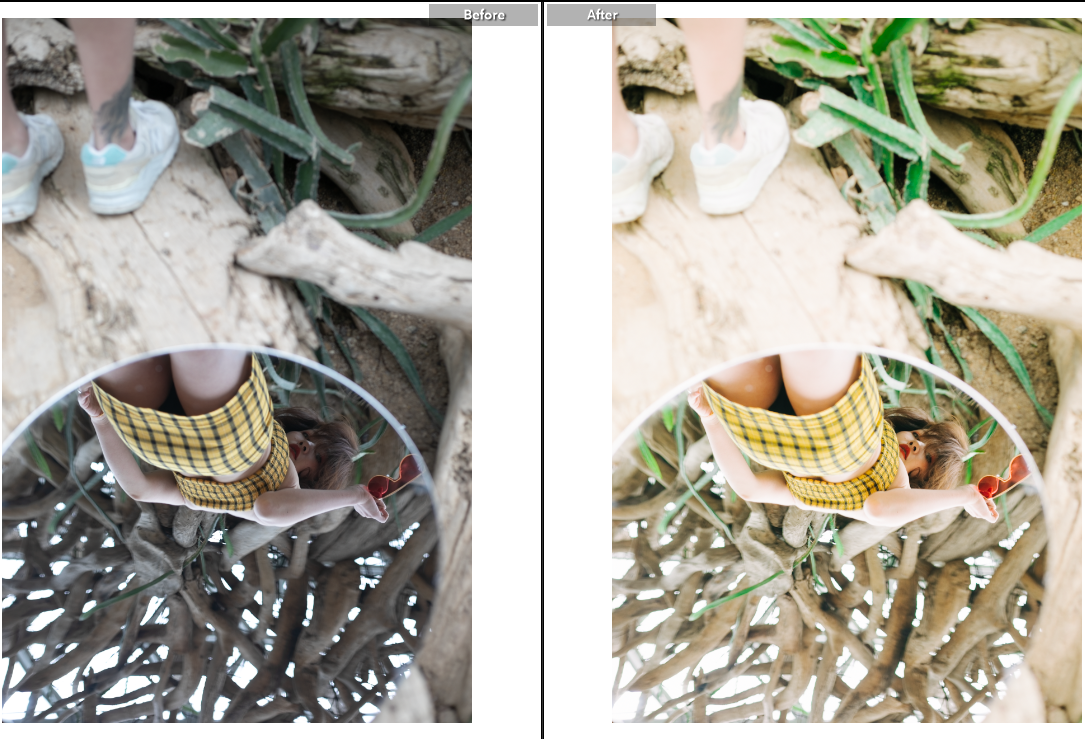 shopthietke com anh 7