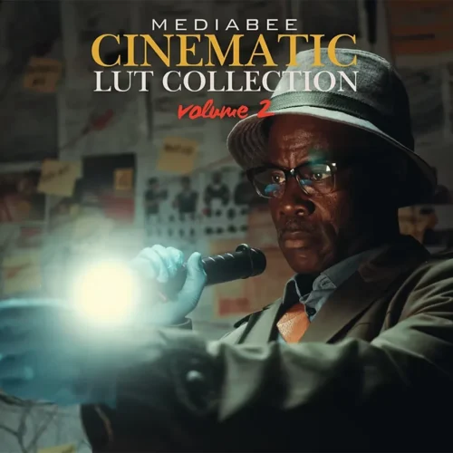 Mediabee Cinematic Luts Vol. 2: 16 Tuyệt Tác Chỉnh Màu Phim Điện Ảnh Hollywood (CUBE)