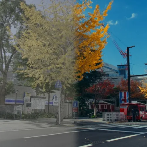 shopthietke com 09150127924 web