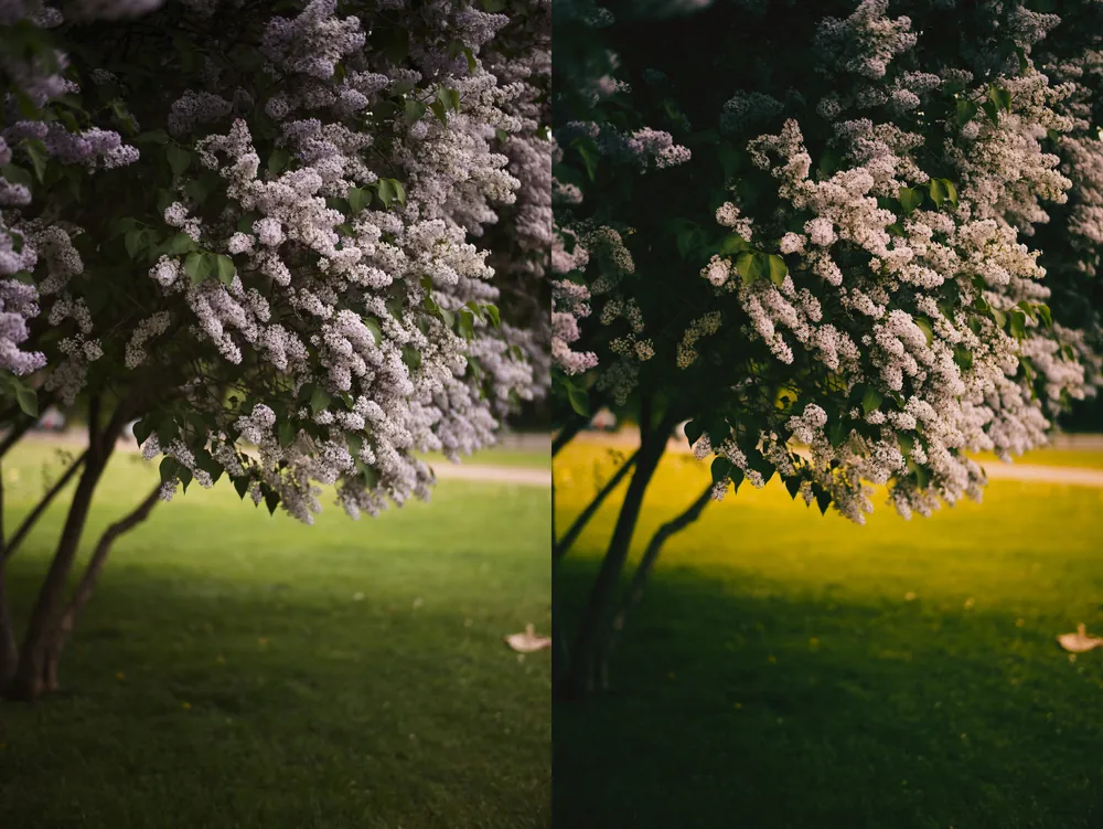 shopthietke com 11 12 web collage 1