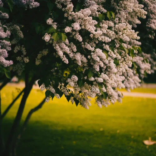 shopthietke com 12 web 3