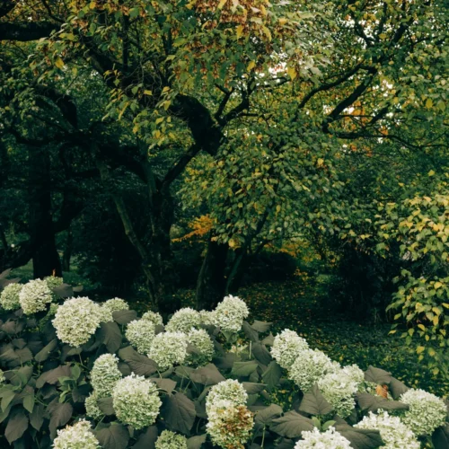 shopthietke com 14 web 3