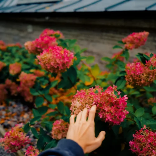 shopthietke com 16 web 4