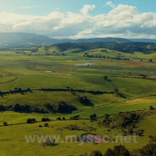 shopthietke com 21142839548 web