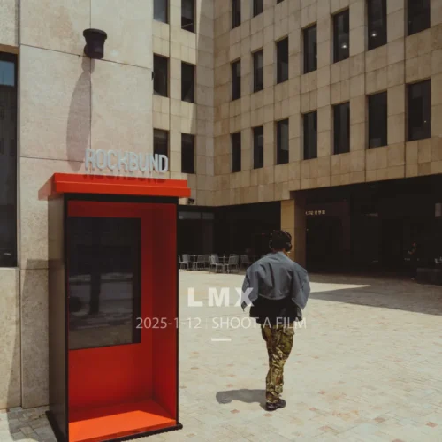 shopthietke com 2506 LMX 01复古焦糖色R 调色 web