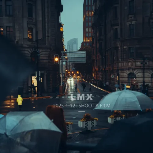 shopthietke com 2506 LMX 02复古青暗 外滩阴雨天R 调色 web