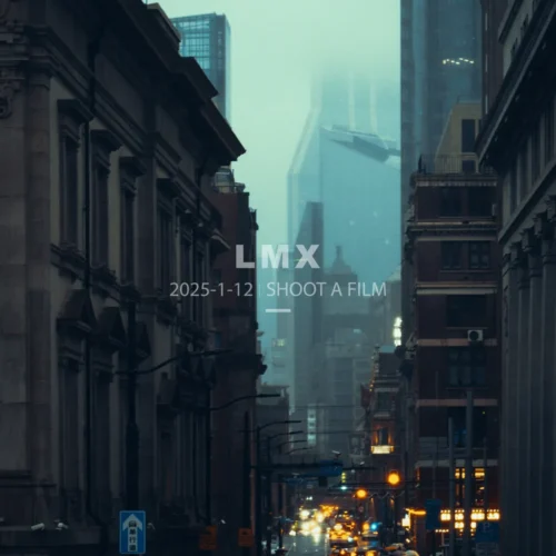 shopthietke com 2506 LMX 03复古青亮 外滩阴雨天R 调色 web