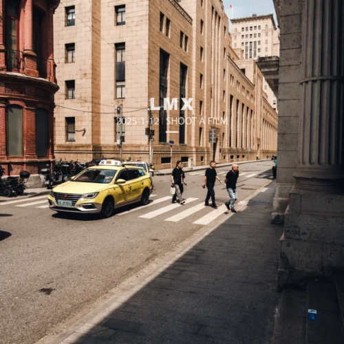 shopthietke com 2506 LMX 04复古咖啡色R 调色 web