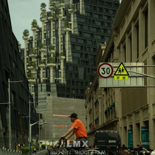 shopthietke com 2506 LMX 05复古R 调色 web