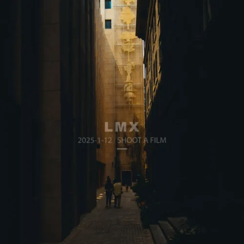 shopthietke com 2506 LMX 06复古 高饱和暗光R 调色 web