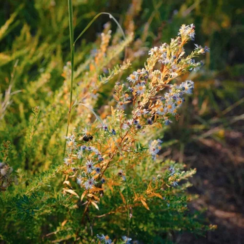 shopthietke com 25110503455 web