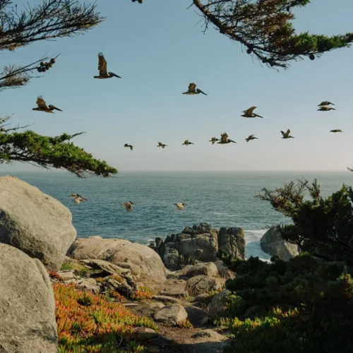 shopthietke com 30140524927 web