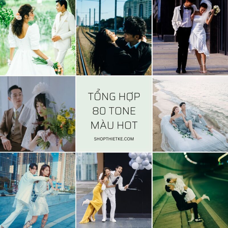 Bộ Preset Tổng Hợp Bao Gồm 80 Tone Màu Hot Trên Rednote (XMP)