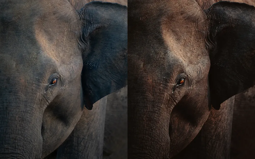 shopthietke com 88.webp 8 web collage