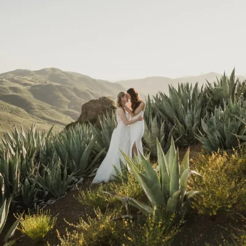 Hệ Thống Hậu Kỳ Đám Cưới Toàn Diện 2026 – 8 Nền Tảng Màu Cinematic Và 50+ Công Cụ Tối Ưu (XMP)