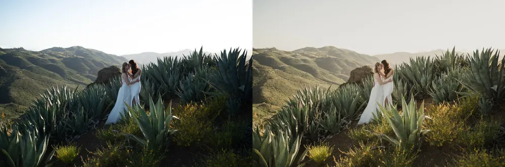 shopthietke com B03FLORA GIBSON PHOTOGRAPHY.webp A03FLORA GIBSON PHOTOGRAPHY web collage