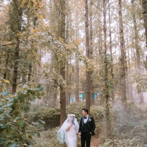 Bộ Preset Tổng Hợp Bao Gồm 80 Tone Màu Hot Trên Rednote (XMP)