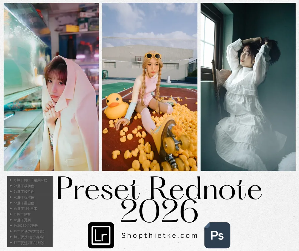 [Full Bộ] 358 Preset Fat Ding Cao Cấp Kèm Profiles - Đỉnh Cao Màu Film Trung Hoa Mới Nhất 2026 (XMP)