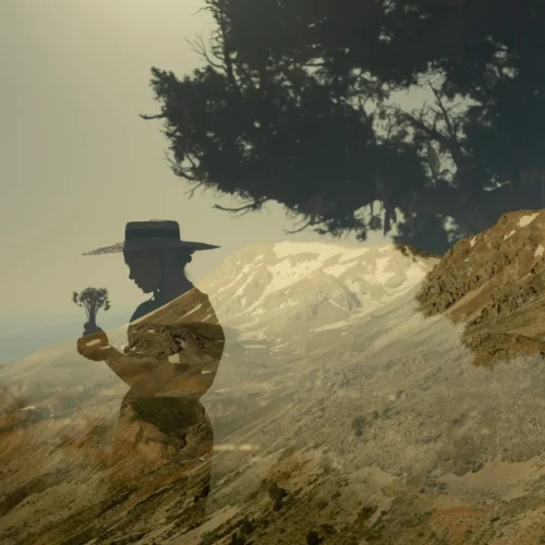 shopthietke com Eis6zr2BXecZgUzfNFEEsQ web