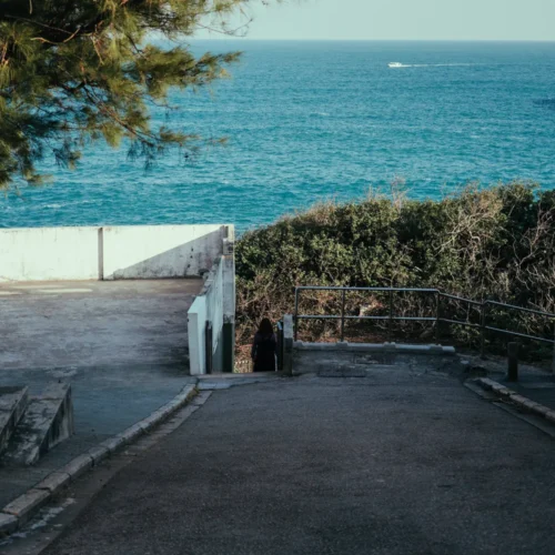 shopthietke com LMX 03 大海胶片调色 web