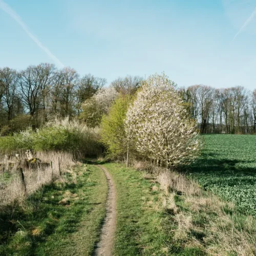 shopthietke com Portra 400 Frontier 1EV 26 Bielefeld 134 web