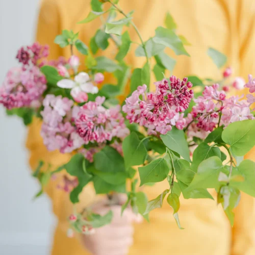 REFINED I: Tuyệt Tác Màu Phim Fuji 400H – Đẳng Cấp Nhiếp Ảnh Vượt Thời Gian (XMP/DNG)