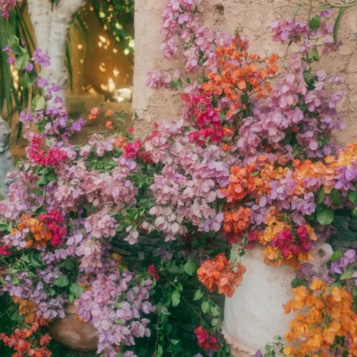 Bộ Màu "Trong Trẻo" Cực Hot 2026 – Bí Quyết Sở Hữu Bộ Ảnh Triệu View Chỉ Với 1 Click (XMP)