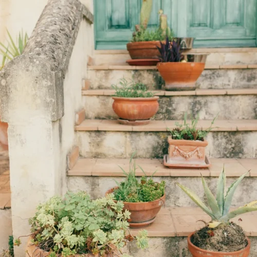 Bộ Màu "Trong Trẻo" Cực Hot 2026 – Bí Quyết Sở Hữu Bộ Ảnh Triệu View Chỉ Với 1 Click (XMP)