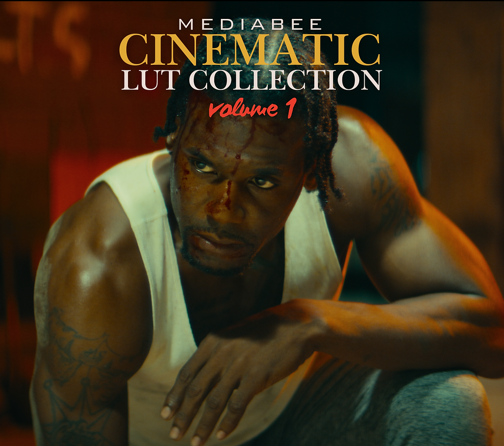 Mediabee Cinematic LUTs Vol. 1: Đánh Thức Bản Sắc Điện Ảnh Trong Từng Thước Phim (CUBE)