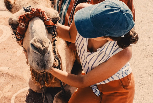 65mm Film Emulation: Bộ 10 LUTs Màu Phim Khổ Lớn Đẳng Cấp Điện Ảnh (CUBE)