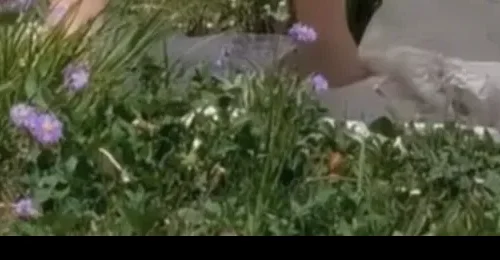 shopthietke com Shopthietke.com 91