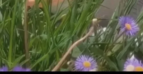 shopthietke com Shopthietke.com 93