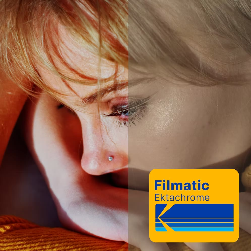 Sony FX Series To Kodak Ektachrome 800 Film Simulation LUTs – S-Log3.Cine (CUBE)